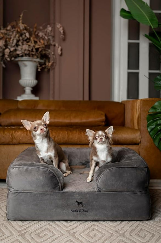 NOAH & PAW Dog Bed, 28x23x11 Inch, Orthopedic Dog Beds for Medium Size Pets, Eggshell Memory Foam Infused with Cooling Gel, Inner Cover, Waterproof, Machine Washable (Velvet Sofa Collection)