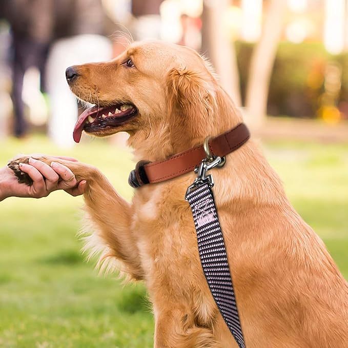 Hi Kiss Dog/Puppy Obedience Recall Training Agility Lead - 15ft 20ft 30ft 50ft 100ft Training Leash - Great for Training, Play, Camping, or Backyard(100ft,BL+PK)