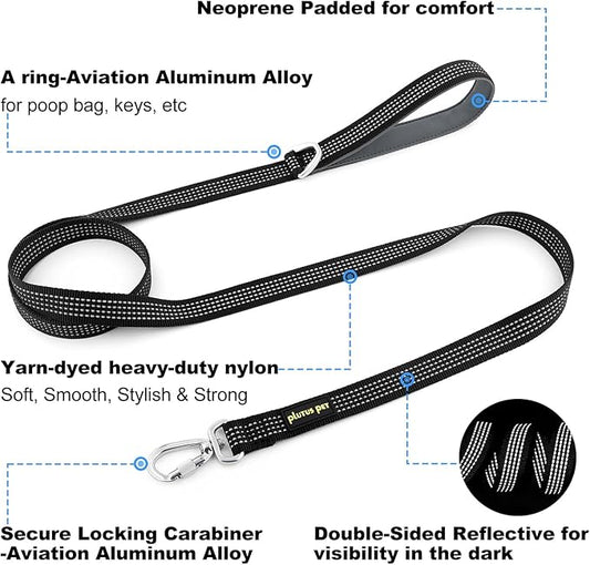 Plutus Pet Heavy Duty Dog Leash with Lockable Aluminum Carabiner, 4/6 Feet Long, Double-Sided Reflective Nylon, Padded Handle, for Puppy, Small, Medium and Large Dogs (Black, 4/5" x 6')