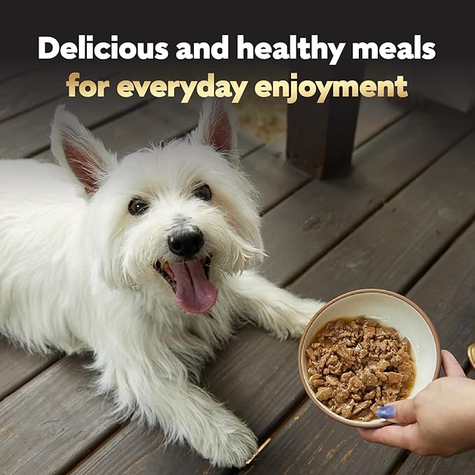 Cesar Filets in Gravy Adult Wet Dog Food Variety Pack, Filet Mignon, New York Strip and Prime Rib Flavors, 3.5 oz. Easy Peel Trays, Variety Pack of 24