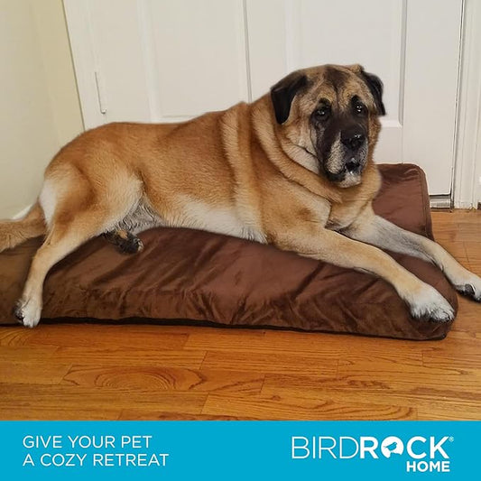 BIRDROCK HOME Memory 3" Memory Dog Bed | Ultra Soft Plush Pet Bed | Pet Mat (40 x 26, Brown)