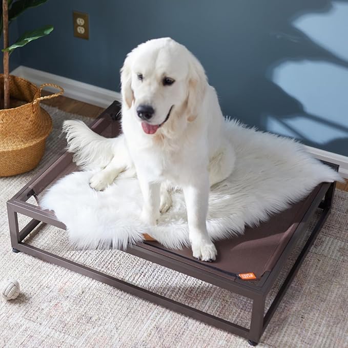 FUZI Luxury Up Pup Elevated Dog Bed, Premium Indoor & Outdoor Raised Pet Bed, Chew-Proof & Durable, Breathable Design for Comfort & Support, Dog Cot Medium 32x24x8 Dark Brown