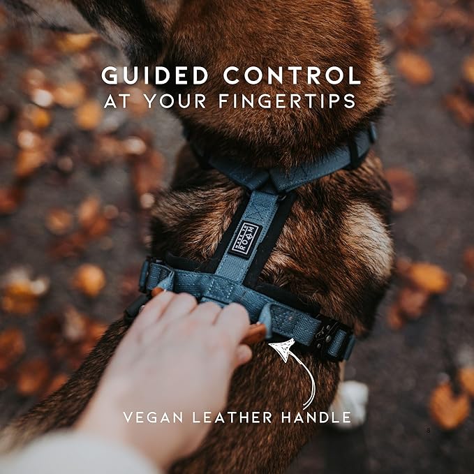 MADE TO ROAM Premium Explorer Harness - Y-Shaped Dog Harness with Adjustable Durable Nylon, Soft Padding, Metal Buckles and Leather Handle for Small, Medium, Large Dogs (Montana Moonrise, Size 5)