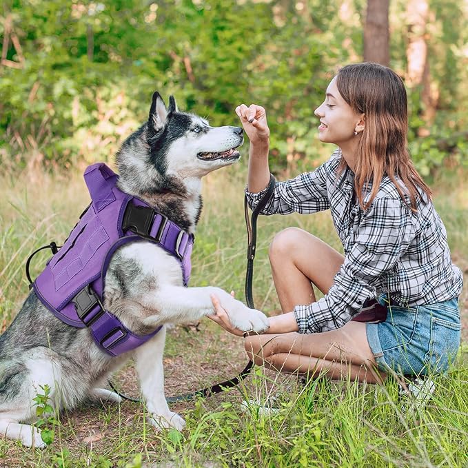 WINGOIN Purple Tactical Dog Harness for Small Dogs, Heavy Duty No Pull Harness with Handle, Adjustable Reflective Military K9 Pet Vest for French Bulldog, Pug, Walking, Training, Hunting (S)