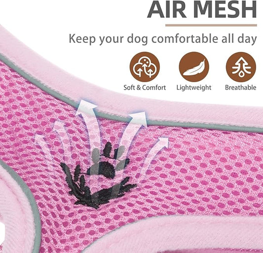 PUPTECK Soft Mesh Dog Harness and Leash Set Pet Puppy Cat Comfort Padded Vest No Pull Harnesses
