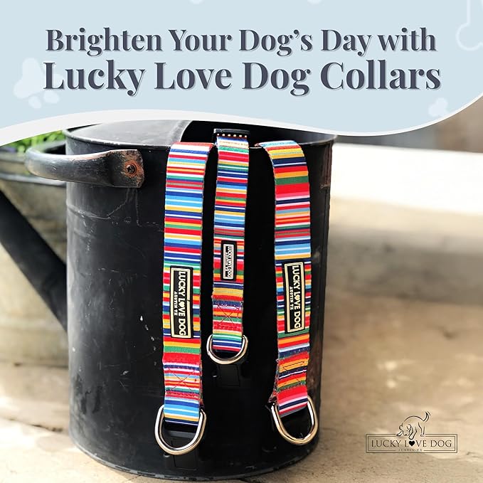 Lucky Love Dog - Adjustable Dog Collar with Easy Click Buckle for Small to Large Ones, Durable, & Comfortable for Male & Female Dogs, Pet Collar for Puppies & Adult Dogs - Hippie, Medium