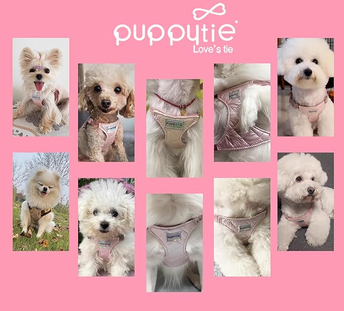 Puppytie No Pull Small Dog Harness with Multifunction Dog Leash,Lightweight Soft Adjustable No Choke Escape Proof Pet Harness Vest Pet Harness Vest,Glossy Pink,S