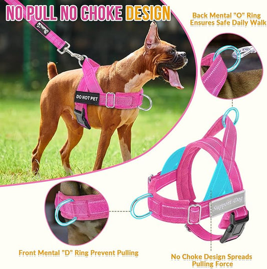 SlowTon No Pull Dog Harness - Heavy Duty Dog Harness and Leash Set for Medium Large Dogs, Reflective Tactical Harness with Soft Padded and Front Clip for Easy Walk and Training (Fuchsia XL)