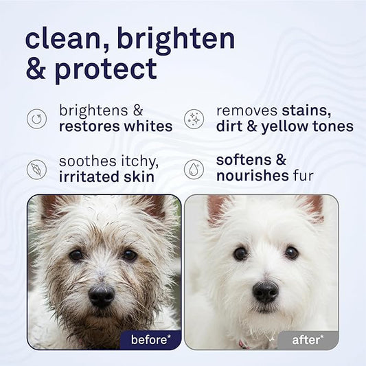 Petpost | Dog Whitening Shampoo with Coconut Oil & Aloe. Brightens White & Light Coats, Moisturizes Skin. Watermelon Scent. 16 oz