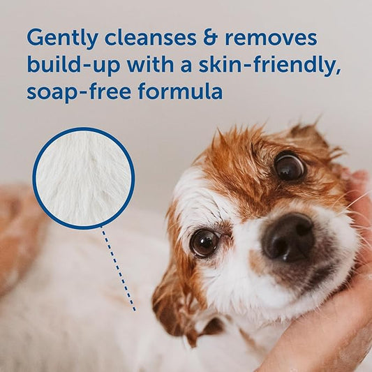 SolaceVet Benzoyl Peroxide Medical Shampoo 12 oz – Vet Recommended Degreasing & Anti-Itch Wash for Dogs & Cats