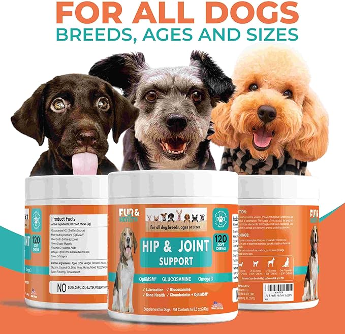 Glucosamine Chondroitin Hip & Joint Supplement for Dogs - Natural Pain Relief & Mobility Support Soft Chews - Vet-Recommended Formula for Senior, Small & Large Breeds - Made in USA by Fur & Health