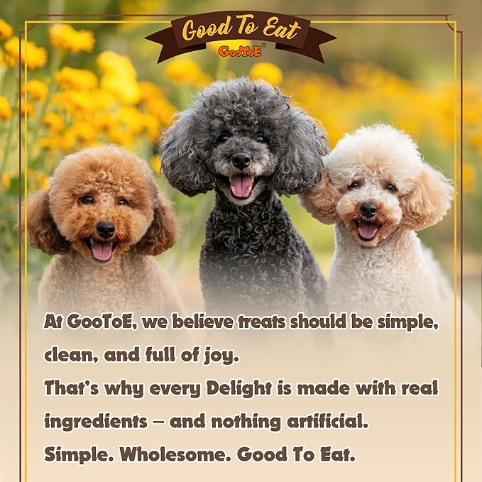Gootoe Turkey Tendons for Dogs –All-Natural, Hypoallergenic Dog Treats, Rawhide Alternative, Long Lasting Puppy Chews, Healthy Dog Treats for Large Breeds, Bone (L), 2 Count Pack