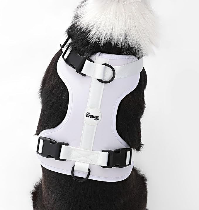 HNS1003F Arlo Large Adjustable Soft Padded No Pull Pet Harness with 3 Buckles and 3 Leash Clips, Seltzer