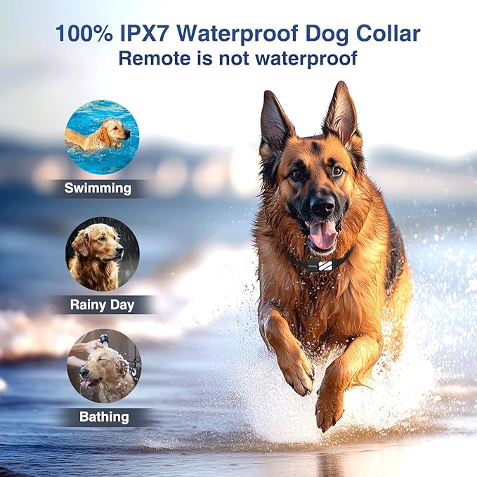 Dog Training Collar with Remote, 4200FT Innovative E Collar for Dogs Training with 4 Powerful Modes, IPX7 Waterproof Rechargeable Electric Collar for 20-140 Lbs Dogs