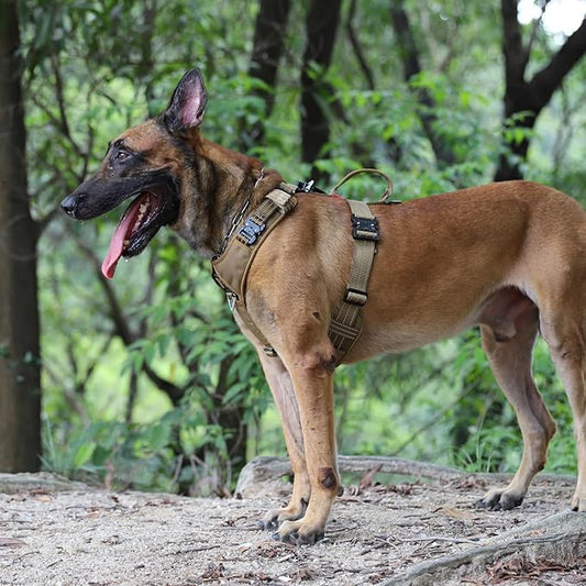 ICEFANG Dog Strap Harness with 4 x Metal Buckles,for X-Large Sized Dog,K9 Vest,Y-Shape Chest,Adjustable Pet Harness,No-Pull Front Leash Clip (X-Large (Pack of 1), Brown)