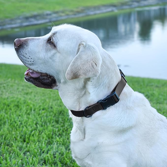 Dogline Durable Biothane Waterproof Collar for Dogs - Odor-Resistant Coated Webbing, Quick-Release Design, Comfortable Adjustable Fit, 1" W by 15-25" L, Black