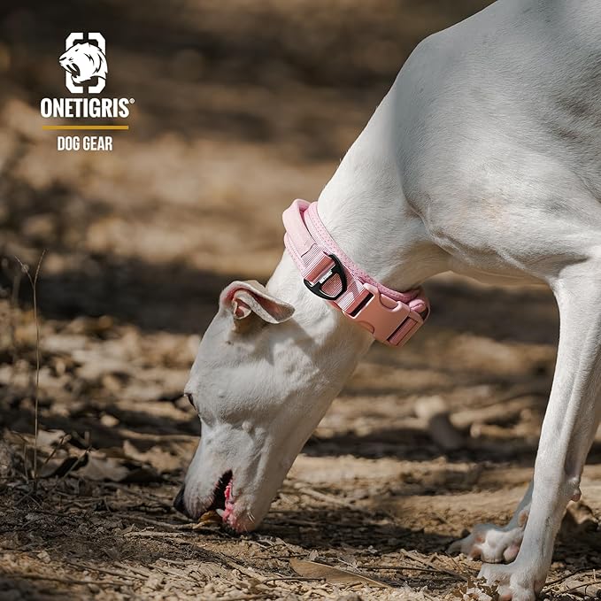 OneTigris Small Dog Collar with Handle, Soft and Adjustable Nylon Collar with Quick-Release Buckle, Lightweight No-Choke Design for Small Dogs(Pink, XS)