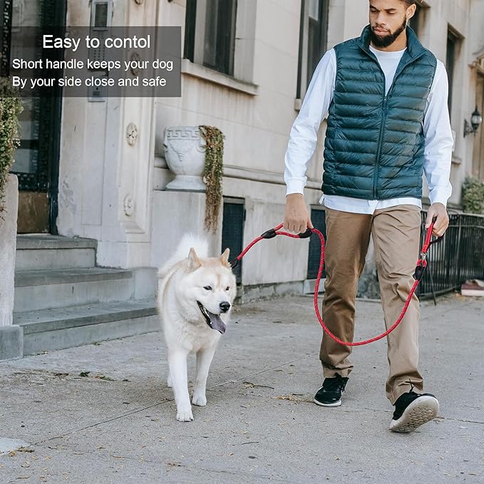 Dog Leash, 6 Foot Dog Leash, 2 Extra Padded Handles, Lockable Metal Carabiner Clip, Reflective No Pull Heavy Duty Rope Lead, Walking, Training, Running, Medium to Large Breeds(Red)