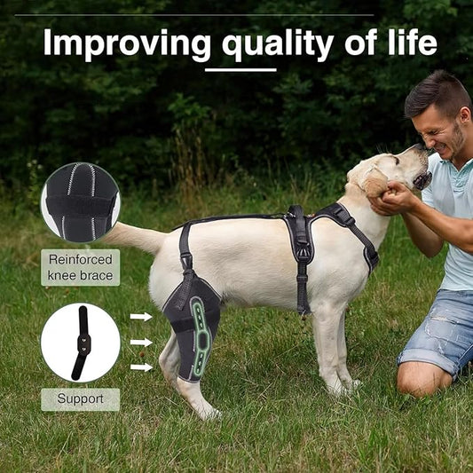 Dog Knee Brace for ACL/CCL Injuries,Torn Ligament,Luxating Patella - Rear Leg Support,Pain Relief,Joint Warmth,Right Legs,Black,Size:XL