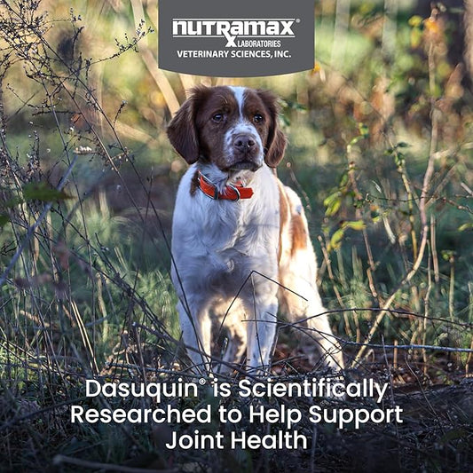 Nutramax Laboratories Dasuquin with MSM Chewables, Small/Medium Dog, 150 Count, White