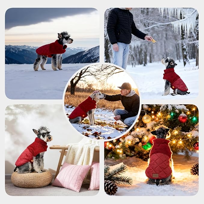 FOFOS Dog Winter Coat, Plush Dog Jacket with Leash Hole, Adjustable Warm Pet Snow Vest for Small Medium Dogs, Red, S