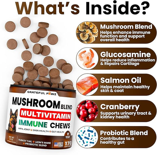 Turkey Tail Mushroom Supplement for Dogs - 170 Chews - Mushrooms for Dogs - Reishi, Lion’s Mane, Glucosamine Multivitamin - Immune Booster, Gut, Hip & Joint Health Support Vitamins, Energy & Skin