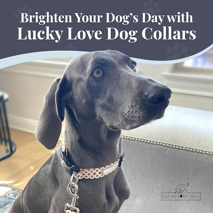 Lucky Love Dog - Easy Click Buckle Dog Collar with Leash Set Combo, Durable & Comfortable for Male & Female Dogs, Pet Collar for Small to Large Dogs, Secure Fit - Pongo Combo, XS