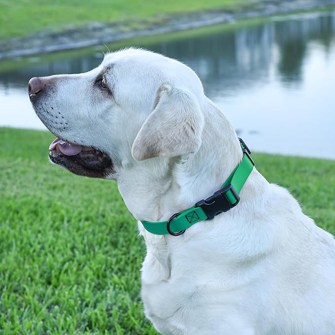 Dogline Durable Biothane Waterproof Collar for Dogs - Odor-Resistant Coated Webbing, Quick-Release Design, Comfortable Adjustable Fit, 1" W by 15-25" L, Teal