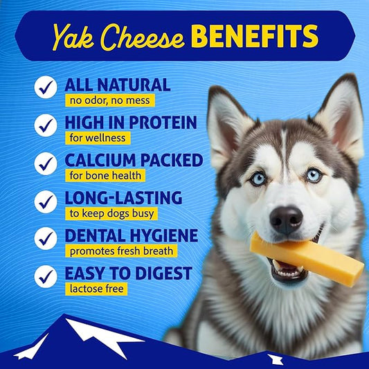 Himalayan Dog Chew Original Yak Cheese Chew, Bacon, 1 X-Large Stick, 5.3 oz, Gluten Free, Healthy Treats, Grain & Lactose Free 100% Natural, Long Lasting for Dogs Over 55 lbs