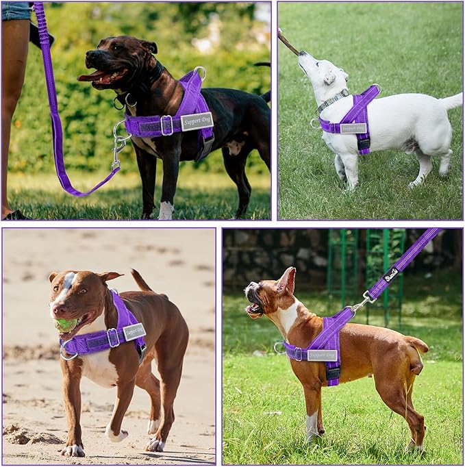 SlowTon No Pull Dog Harness - Heavy Duty Dog Harness and Leash Set for Medium Large Dogs, Reflective Tactical Harness with Soft Padded and Front Clip for Easy Walk and Training (PU, M)