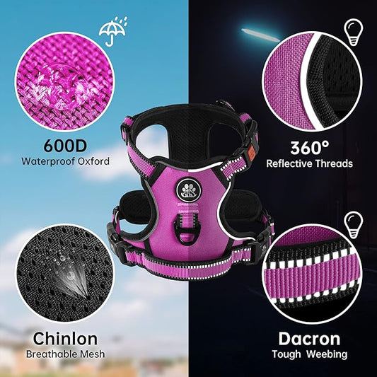 NESTROAD No Pull Dog Harness,Adjustable Oxford Dog Vest Harness with Leash,Reflective No-Choke Pet Harness with Easy Control Soft Handle for Small Medium Dogs(Medium,Fuchsia Pink)