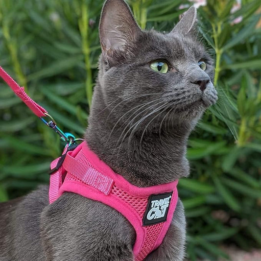 Travel Cat Harness and Leash Set - Adjustable Fit Mesh Cat Harness and Reflective Strap - Comfort Walking Vest for Kitten for Outdoor Walking, Hiking (Extra Small)