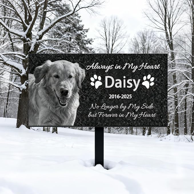QYH Personalized Pet Memorial Stones with Picture - Dog Memorials & Funerary, Black Granite Memorial Garden Stone Laser Engraved Pet's Photo Pet Grave Markers Gifts for Loss of Dogs Cats (Black-JG)