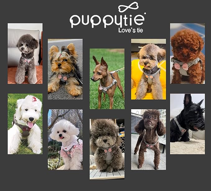 Puppytie No Pull xs Dog Harness with Multifunction Dog Leash,Soft Adjustable No Choke Escape Proof Pet Harness Vest,Knitted Black-White,xs