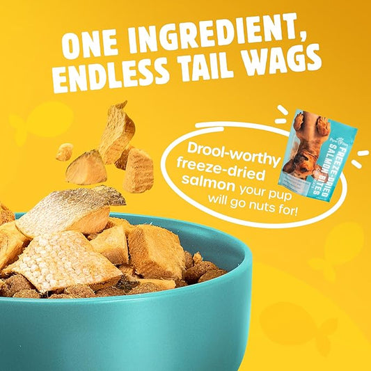 Paw Bites Freeze Dried Dog Treats - Wild Caught Salmon - Dog Food Dry Snacks - with Protein & Omega 3s - for All Breeds & Sizes - No Artificial Flavors & Dyes, No Preservatives - 1 Pouch, 4 oz