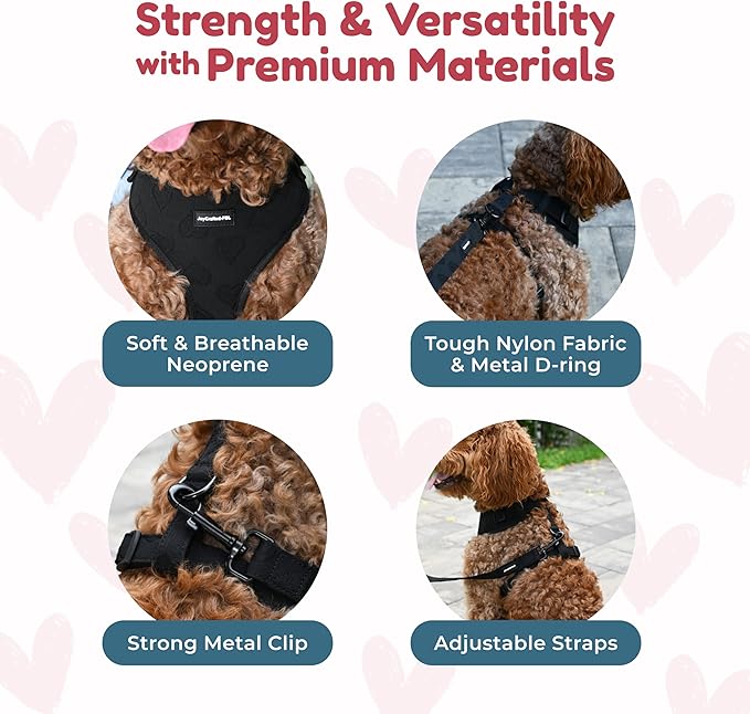 No Pull Neoprene Dog Harness and Leash Set for Extra Small Dog, Neck(8.6–12.2 in), Adjustable Soft Mesh Design, Black XXS -Lightweight No Choke Fit, Step-in, Escape-Proof Comfort