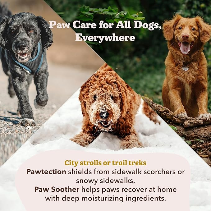 Natural Dog Company PawTection Balm 1 oz Tin – Dog Paw Protection with Shea Butter & Calendula – Shields Paws from Snow, Ice, Salt, Hot Pavement & Rough Terrain – Lick-Safe, All Breeds