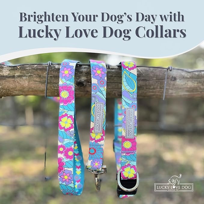 Lucky Love Dog - Adjustable Dog Collar with Easy Click Buckle for Small to Large Ones, Durable, & Comfortable for Male & Female Dogs, Pet Collar for Puppies & Adult Dogs - Caroline, XL