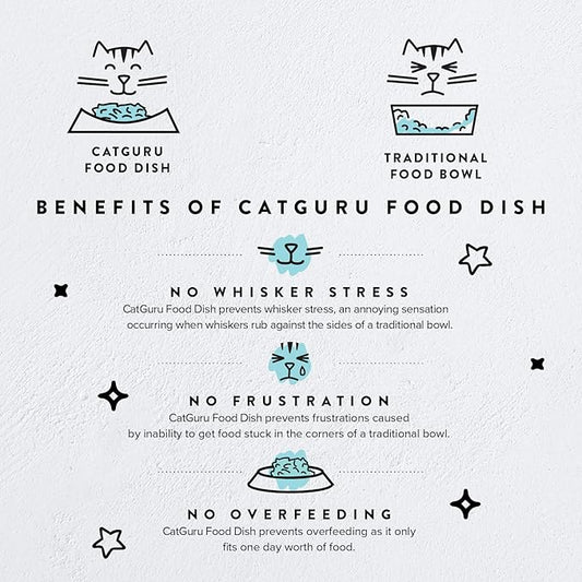 CatGuru Cat Food Bowl, Ceramic Bowls for Indoor Cats, No Spill Cat Feeding Bowl, Whisker Stress Free Kitten Bowls, Non Skin Pet Bowls for Food and Water (Torus - Set of Two, Aruba)