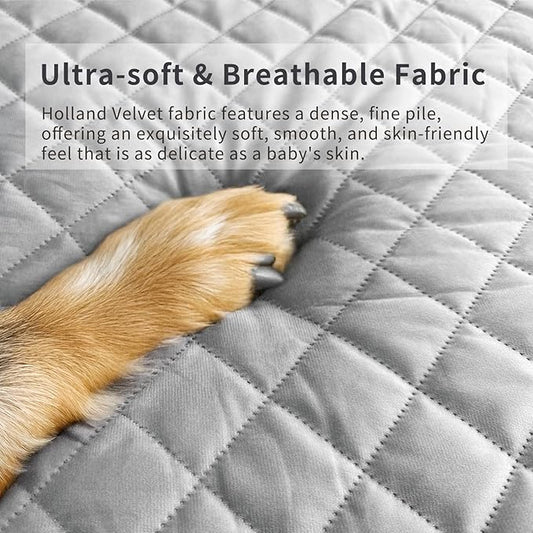 Orthopedic Dog Bed for Medium and Large Sized Dogs - Egg Crate Foam Pet Bed, Machine Washable & Waterproof & Non-Slip Bottom, Ideal Dog Beds for Crate and Indoor Use, 35x22 Inch, Light Grey