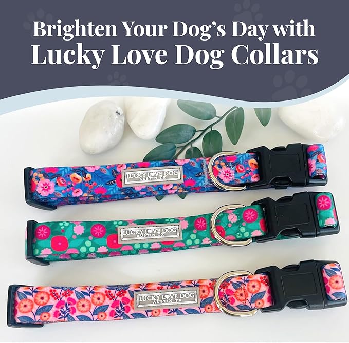 Lucky Love Dog - Adjustable Dog Collar with Easy Click Buckle for Small to Large Ones, Durable, & Comfortable for Male & Female Dogs, Pet Collar for Puppies & Adult Dogs - Rosie, Medium