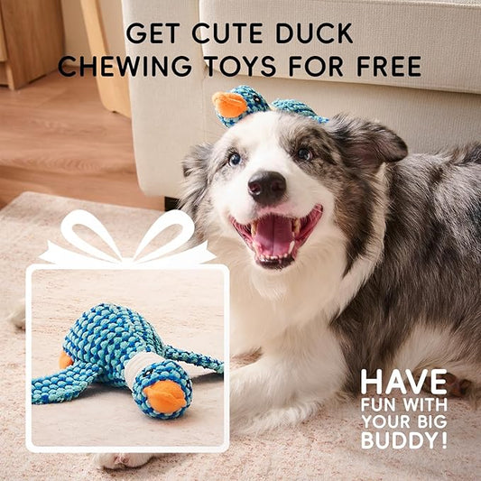 Homemate Dog Bed Large Sized Dog: 42x30 inch Orthopedic Large Dogs Bed XL Outdoor Pet Cat Bed Sofa Supplies with Toy Dogs Crate Pad Couch with Removable Washable Cover & Non-Slip Botton Light Grey