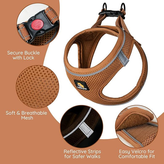 BELLA & PAL Step in Vest Harness for Small and Medium Dogs, No Pull Small Dog Harness with Leash Set, Comfortable Air Mesh Dog Vest Harness with Reflective Strip (Mokka, XXS)