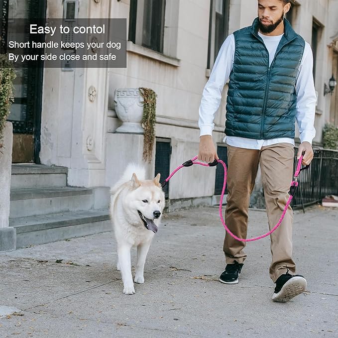 Dog Leash, 6 Foot Dog Leash, 2 Extra Padded Handles, Lockable Metal Carabiner Clip, Reflective No Pull Heavy Duty Rope Lead, Walking, Training, Running, Medium to Large Breeds(Pink)
