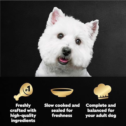Cesar Filets in Gravy Wet Dog Food, Rotisserie Chicken Flavor, 1.76 oz. Mini-Pouches, 20 Count (Pack of 1)