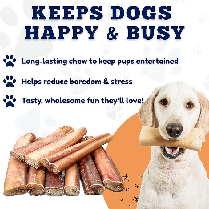 Amazing Dog Treats - 6 Inch Extra Thick Bully Sticks (100 Count) - Bulk Bully Sticks for Dogs - No Hide Bully Stick Dog Bones