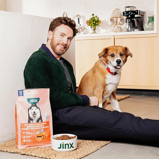 Jinx Premium Grain-Free Dry Dog Food, for All Lifestages - Real Chicken, Sweet Potato & Carrot Kibble with Superfoods for Immune Support & Probiotics for Digestive Support - No Fillers - 4lb