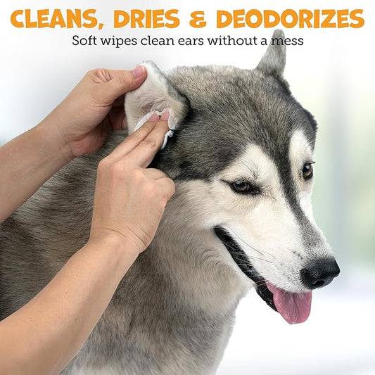 Advanced Ear Wipes for Dogs & Cats with Aloe Vera - Gentle, Non-Irritating Ear Cleaner for Cats and Dogs - Helps Deodorize and Remove Ear Wax - Cucumber Melon Scent (100 Wipes)