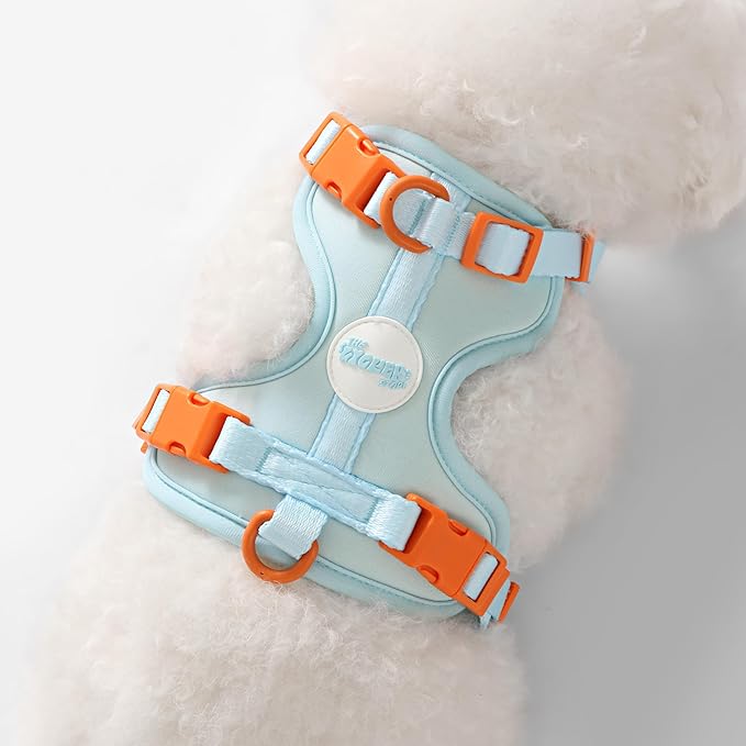 HNS1000D Arlo Extra Small Adjustable Soft Padded No Pull Pet Harness with 3 Buckles and 3 Leash Clips, Fishbowl