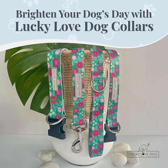 Lucky Love Dog - Adjustable Dog Collar with Easy Click Buckle for Small to Large Dogs, Durable, & Comfortable for Male & Female Dogs, Pet Collar for Puppies & Adult Ones - Penny, Small
